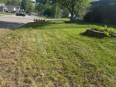 Lawn Care service in Lees Summit, 64063