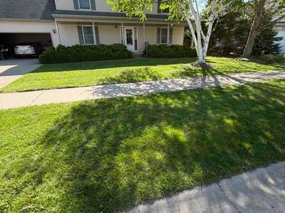 Lawn Care service in Grand Ledge, 48837