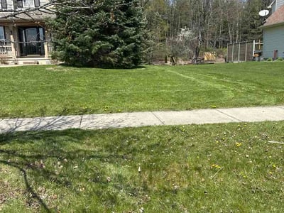 Lawn Care service in Howell, 48843