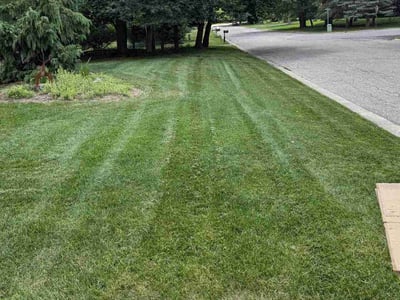 Lawn Care service in Dewitt, 48820