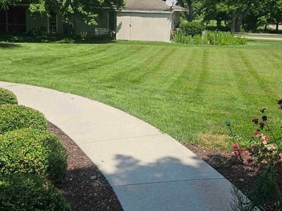 Lawn Care service in ,