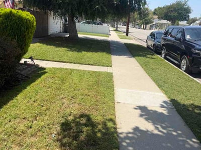 Lawn Care service in Compton, 90220