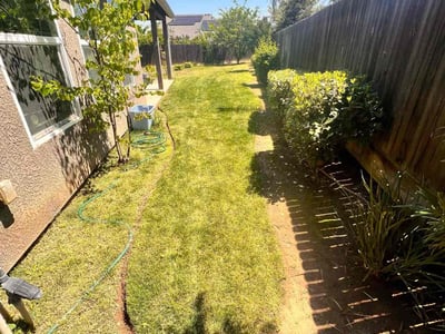 Lawn Care service in Fresno, 93721