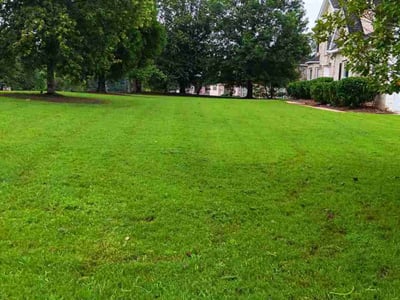 Lawn Care service in Temple, 30179