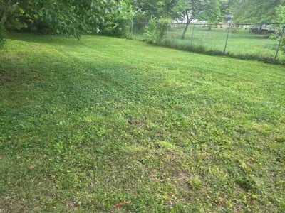 Lawn Care service in Glen Burnie, 21061