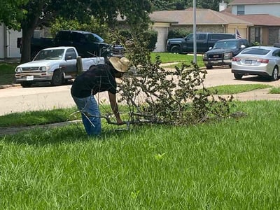 Lawn Care service in Taft, 93268