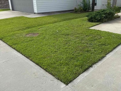 Lawn Care service in Lafayette, 70501