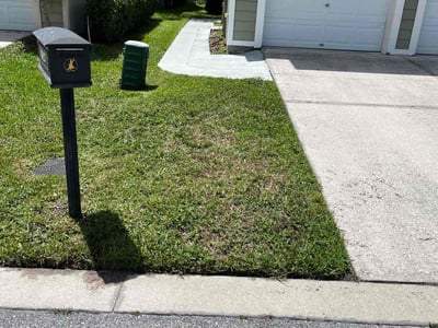 Lawn Care service in Lithia, 33547