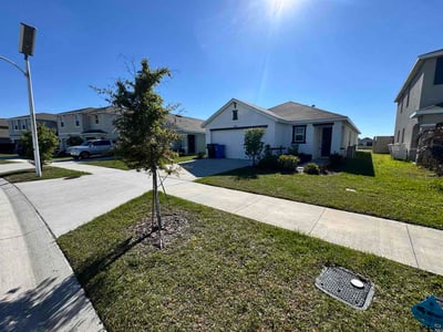 Lawn Care service in Holiday, 34691