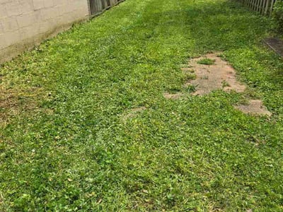 Lawn Care service in Centreville, 20120
