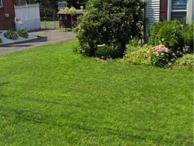 Lawn Care service in Vernon Rockville, 06066