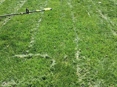 Lawn Care service in West Haven, 06516
