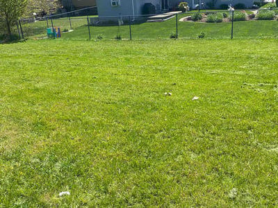 Lawn Care service in East Chicago, 46312