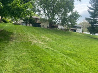 Lawn Care service in Jenison, 49428