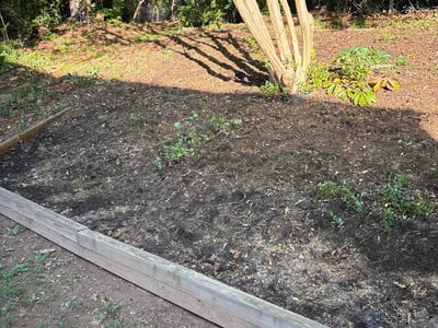Leaf Removal service in Midlothian, 23113