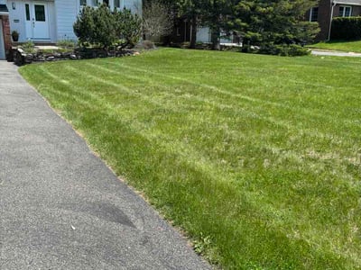 Lawn Care service in Middle Village, 11379