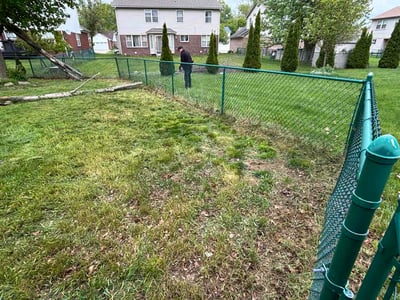 Leaf Removal service in Maple Grove, 55311
