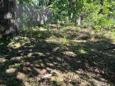 Leaf Removal service in Lawton, 73501