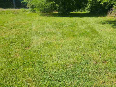 Lawn Care service in Rossville, 30741