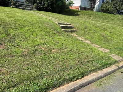 Lawn Care service in Bronx, 10462