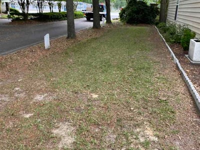 Leaf Removal service in Greer, 29651