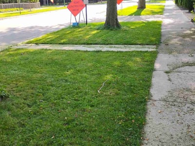 Lawn Care service in Wilmette, 60091