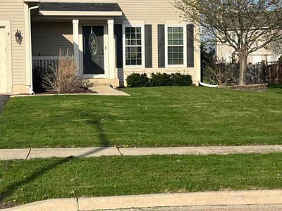 Lawn Care service in Montgomery, 60538