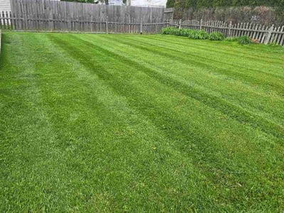 Lawn Care service in Streamwood, 60107