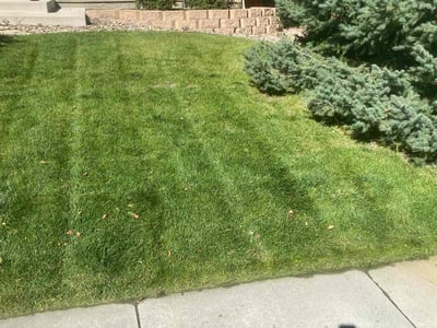 Lawn Care service in Brookfield, 06804