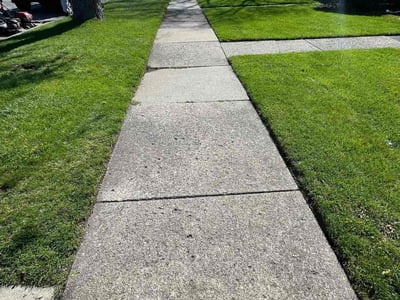 Lawn Care service in Streamwood, 60107
