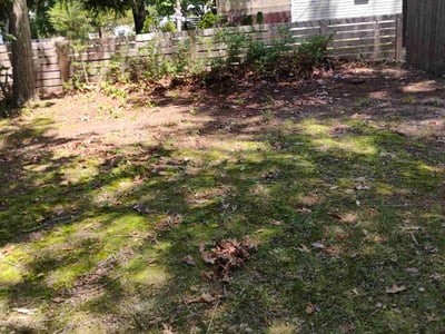 Lawn Care service in Marlton, 08053