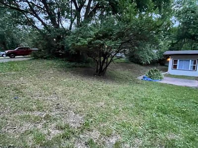 Leaf Removal service in Belton, 64012
