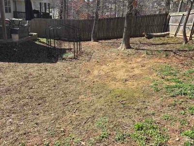 Lawn Care service in Johnson City, 37604