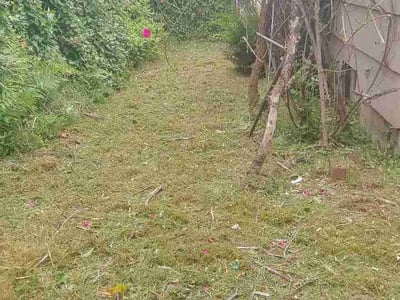 Leaf Removal service in Beaverton, 97005