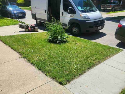Lawn Care service in Lockport, 60441