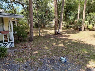 Leaf Removal service in Cape Coral, 33904