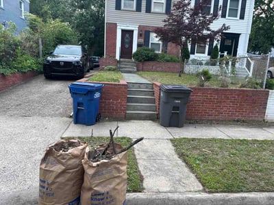 Leaf Removal service in Ashburn, 20147
