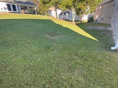 Lawn Care service in Woburn, 01801