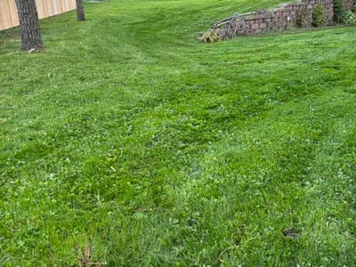 Lawn Care service in Huntley, 60142