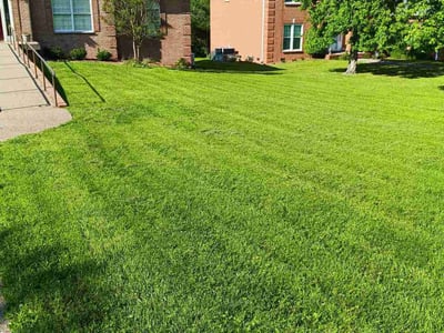Lawn Care service in Hendersonville, 37075