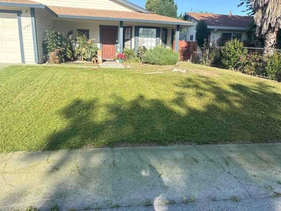 Lawn Care service in Fair Oaks, 95628