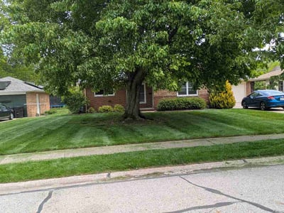 Lawn Care service in Rocky River, 44116