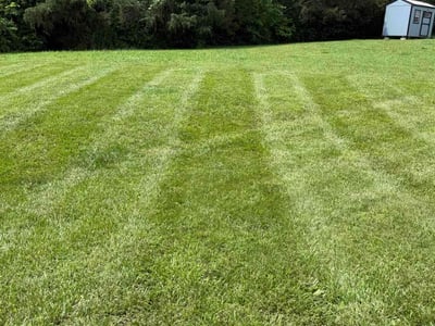 Lawn Care service in Horn Lake, 37160