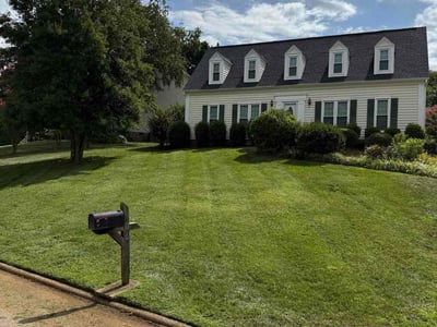 Lawn Care service in Greer, 29651