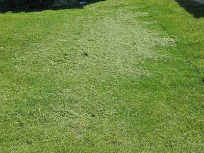 Lawn Care service in Greenfield, 53220