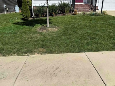 Lawn Care service in Powhatan, 23139