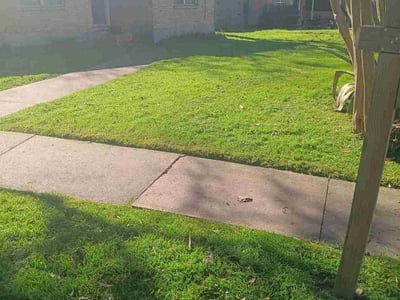 Lawn Care service in Tolleson, 85353