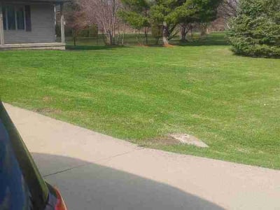 Lawn Care service in Stoughton, 53589