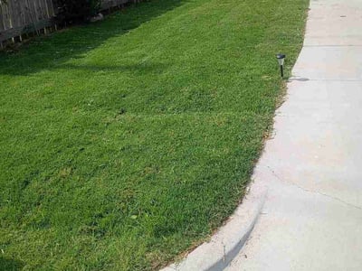 Lawn Care service in Lawton, 73501
