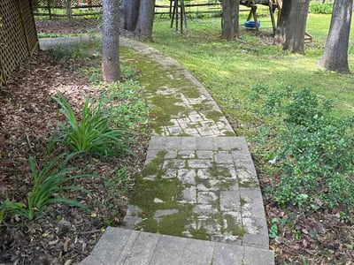 Lawn Care service in Silver Spring, 20910